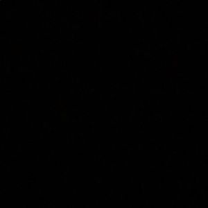 Meet your Posher, Lilly